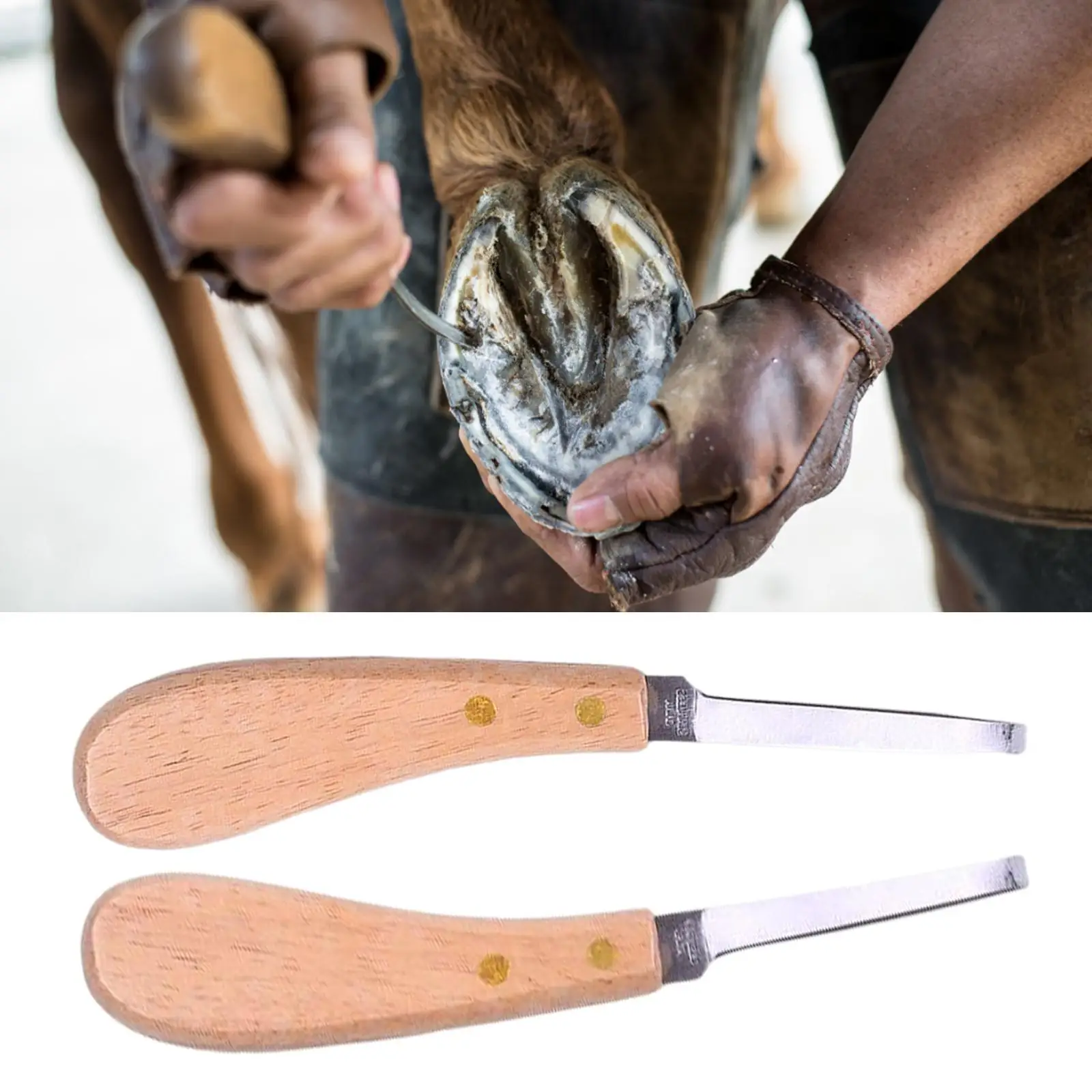 Taglia zoccoli per bovini Tronchesi professionali per farrier Trimmer per zoccoli Coltello per zoccoli Forniture per suini Cavalli Bestiame Animali