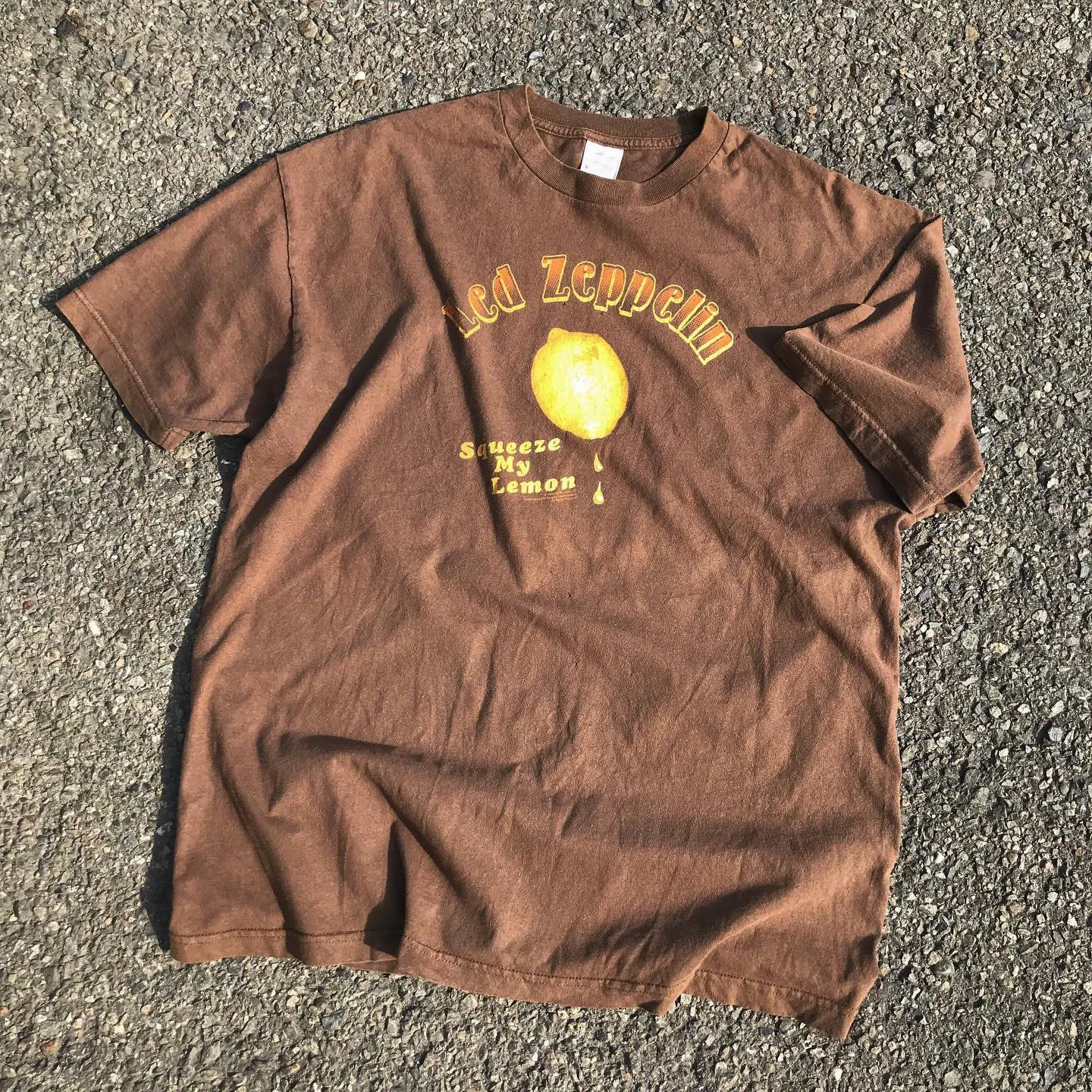 Leather Zeppelin Vintage Feel Lemon Short Sleeve T-Shirt Couple Matching Cotton Summer Breathable round Neck Minimalist Style