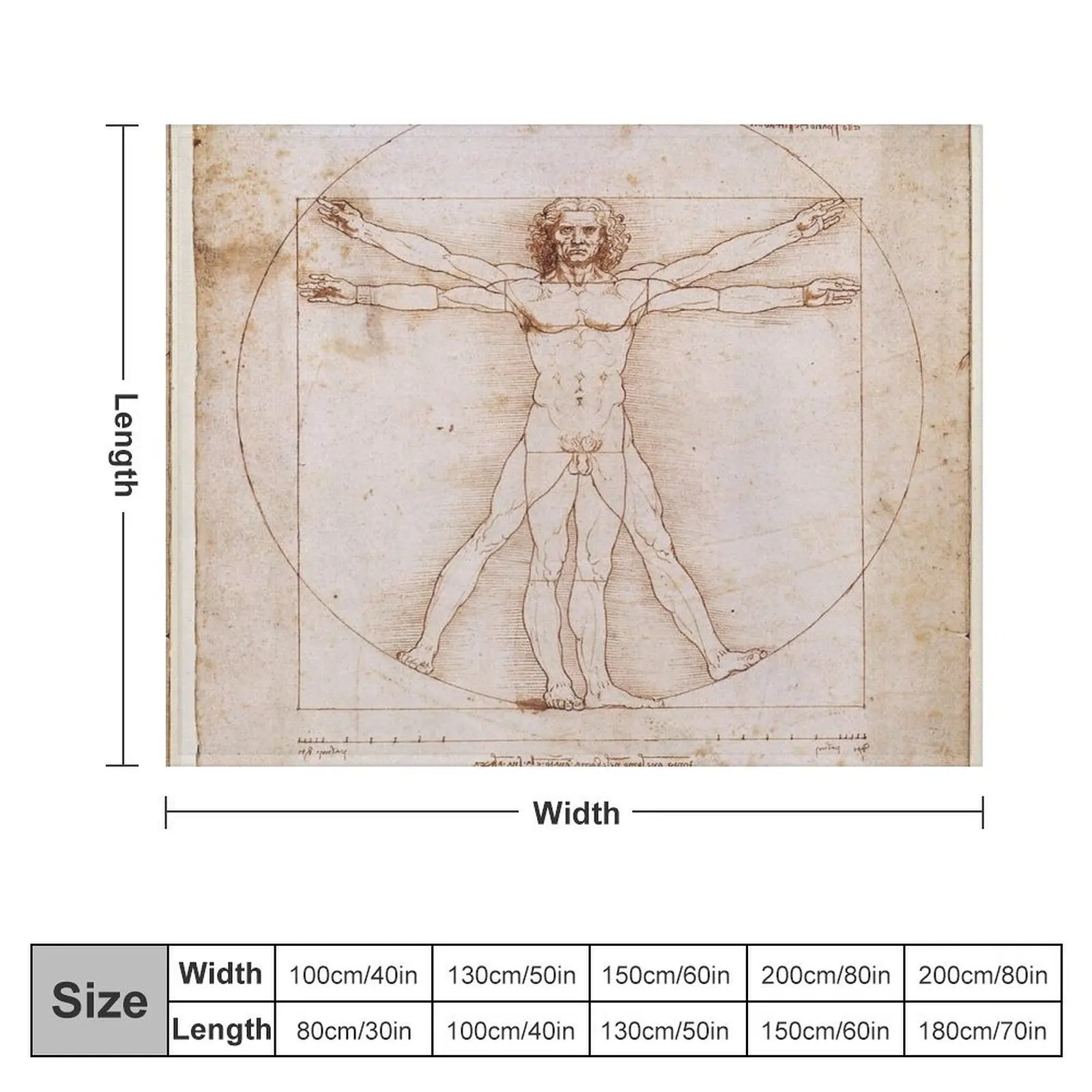 Leonardo Da Vinci ? Vitruvian Man Throw Blanket Luxury Throw Sofa Blankets