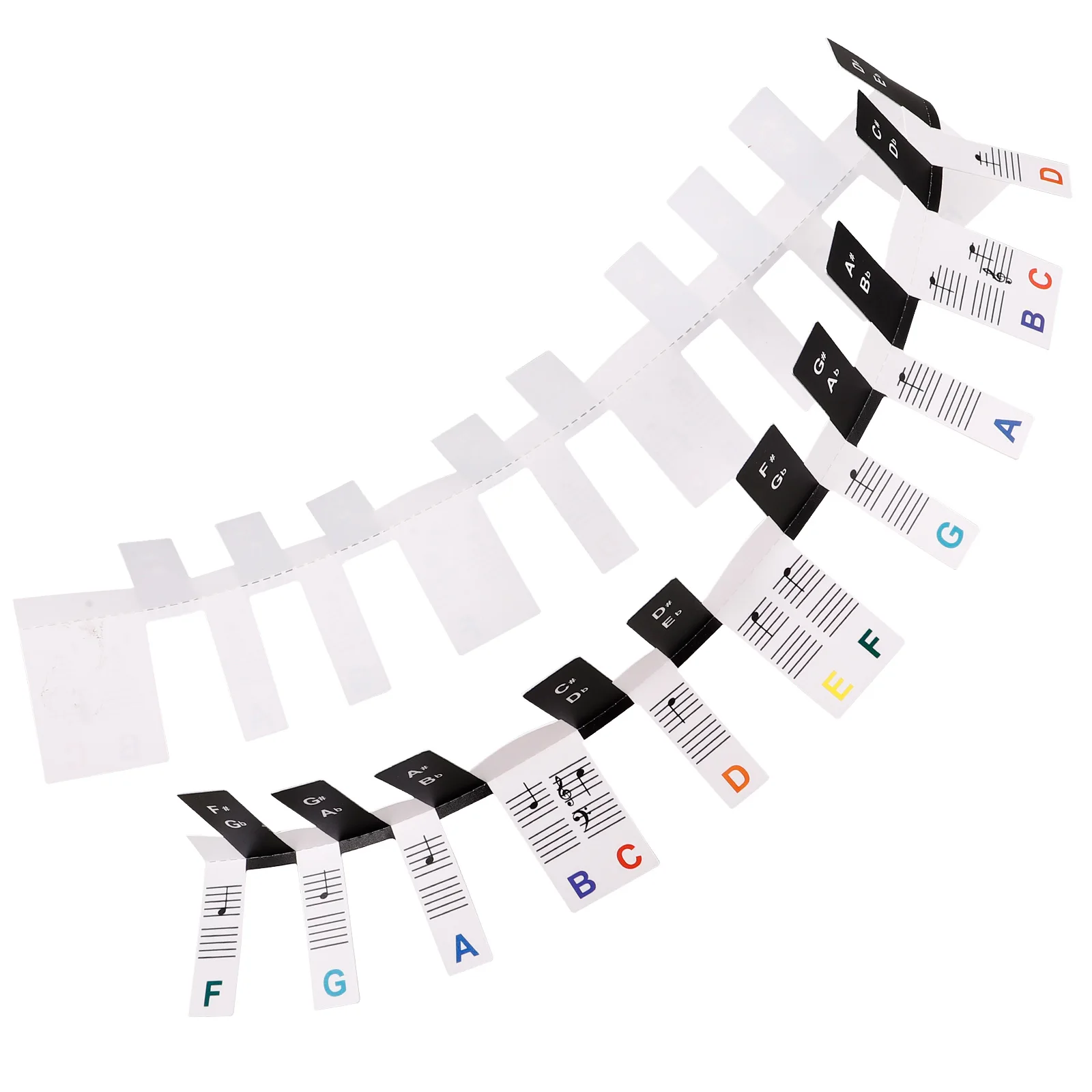 

Piano Stickers 88 Keys 61 Keys Removable PVC Material Keyboard Note Labels for Supplies Beginner Guide