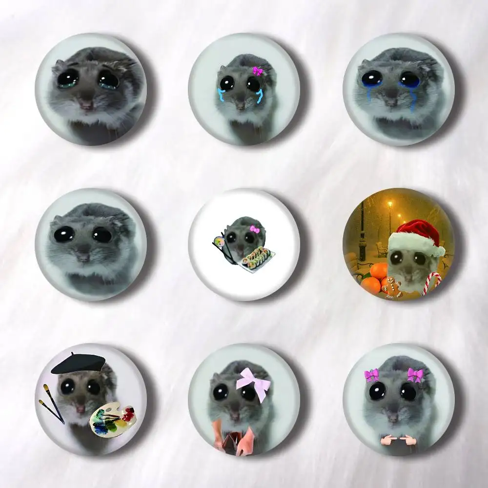 Funny Sad Hamster Pins Badges Round Laser Badge Brooch Clothes Backpack Accessories