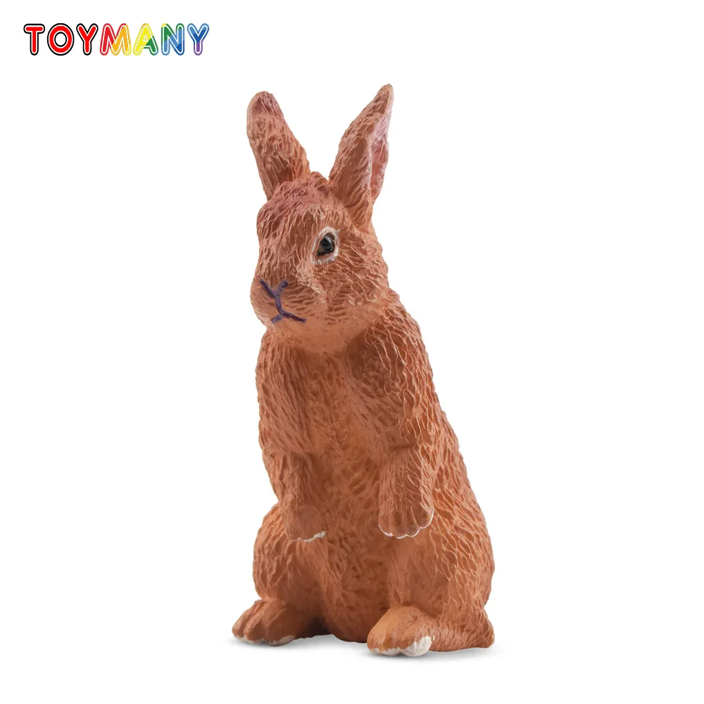 

Toymany Simulation New Zealand Rabbit Wildlife Animal Model Toy Mini Figures Dolls Action Figurines Toys Children Gift