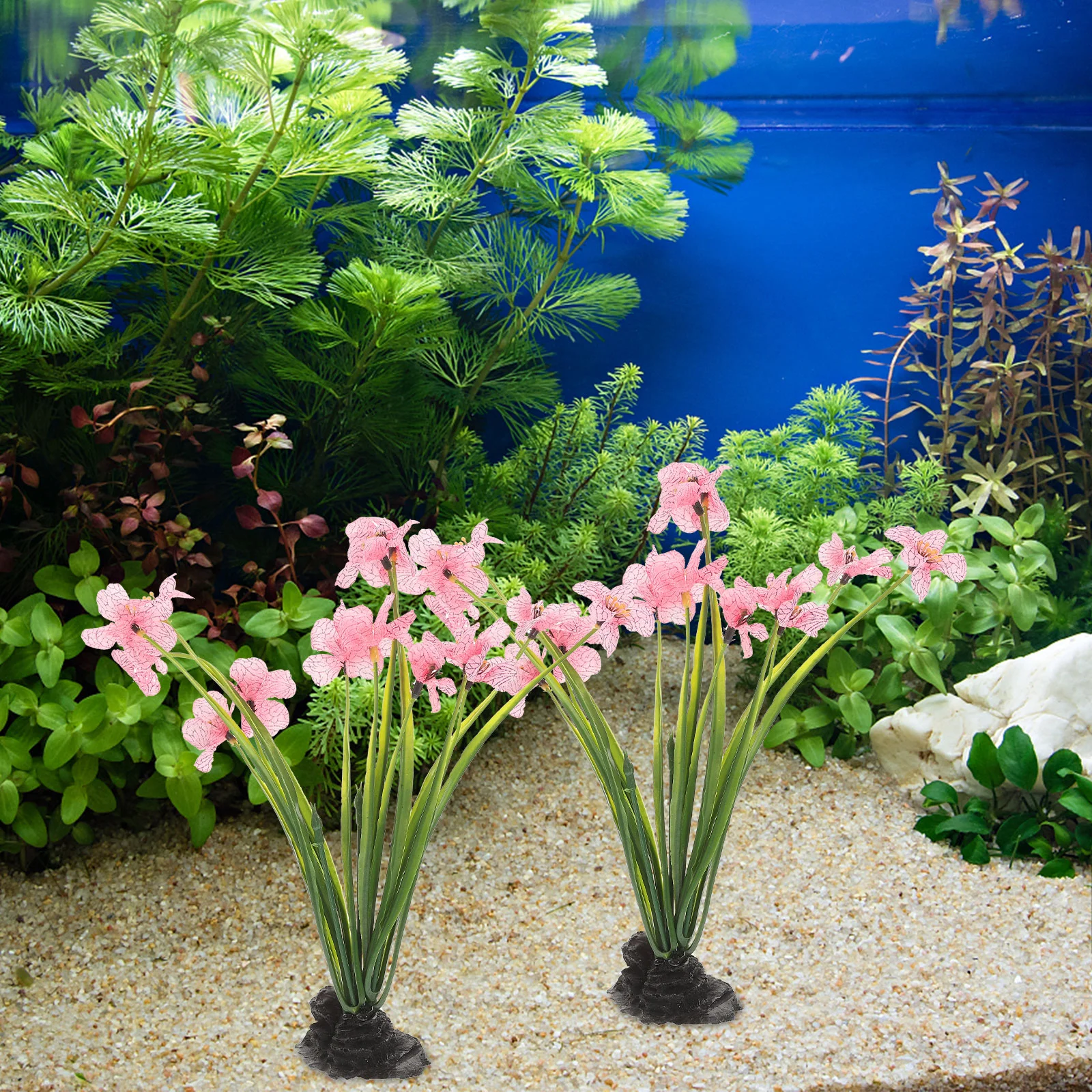 

2 Pcs Black Bottom Aquatic Plants Fish Tank Decor Realistic Desktop Aquarium Plant Supplies Fine Workmanship