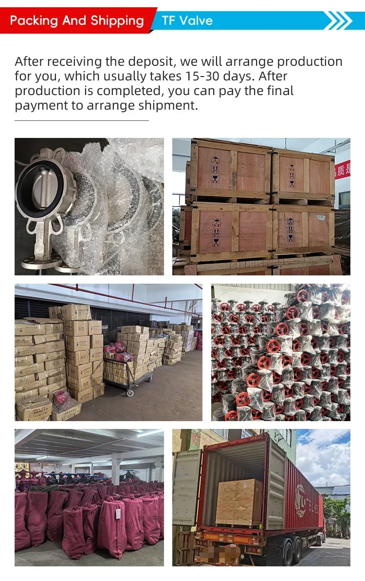 TF DIN 3352 F4 معيار شفة نوع مرنة لينة يجلس بوابة صمام DN800 Pn16 صمامات البوابة كبيرة الحجم #5