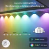 RGB 30M Eaves Lights Smart Bluetooth Permanent Outdoor Lights Outdoor Waterproof Garden Lighting Strings Decor Christmas Lights 6