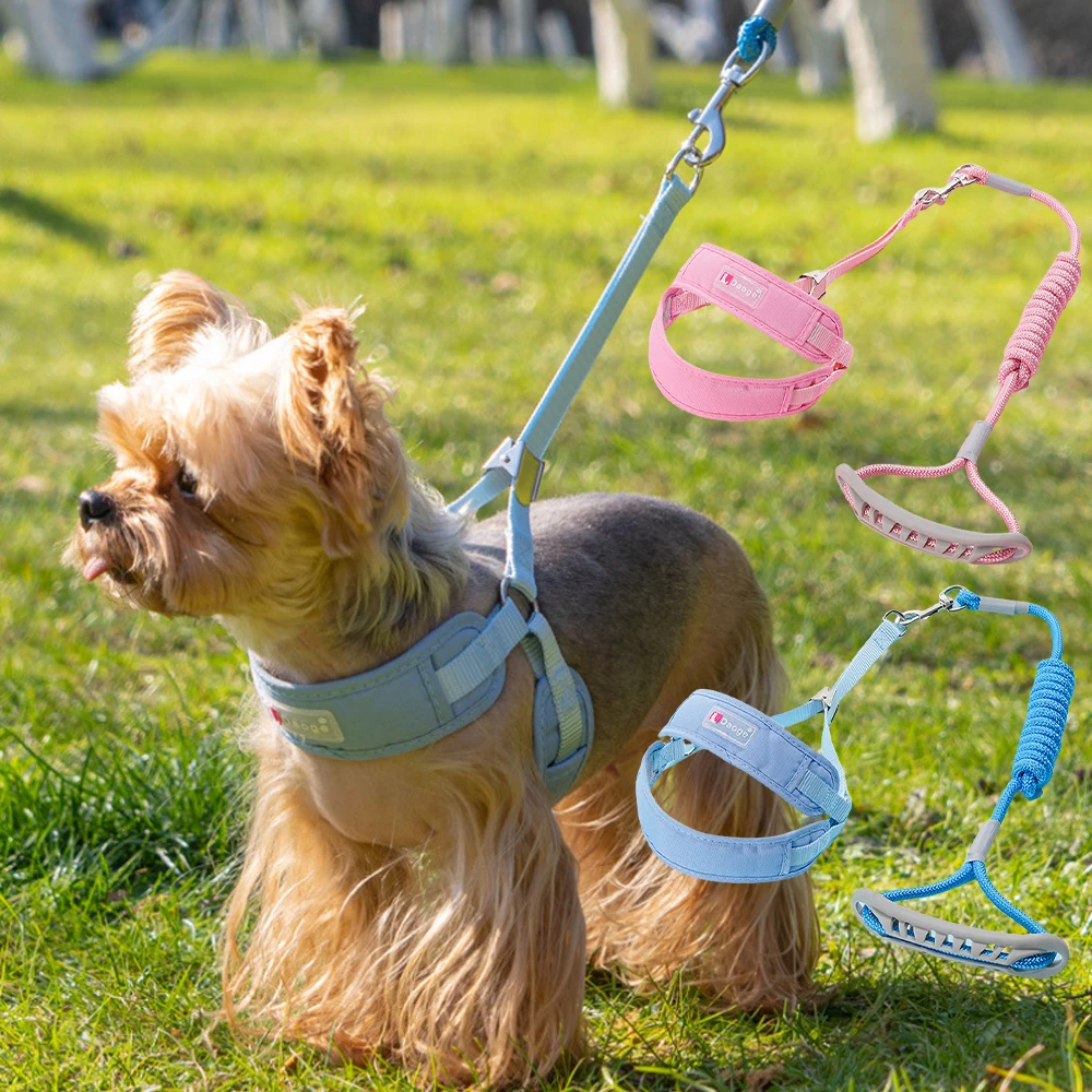 

1 комплект, дышащая сетка, не вытягивающая шлейка для собаки + поводок, регулируемый спасательный жилет, поводок для домашних животных, маленьких и средних собак, прогулок на открытом воздухе