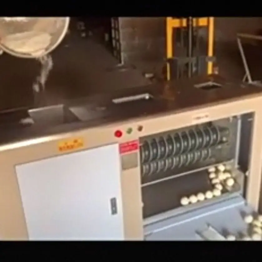 380V 220V Pizza Bread Dough Rounder Dough Cutter Machine Automatic  Machine Dough Divider