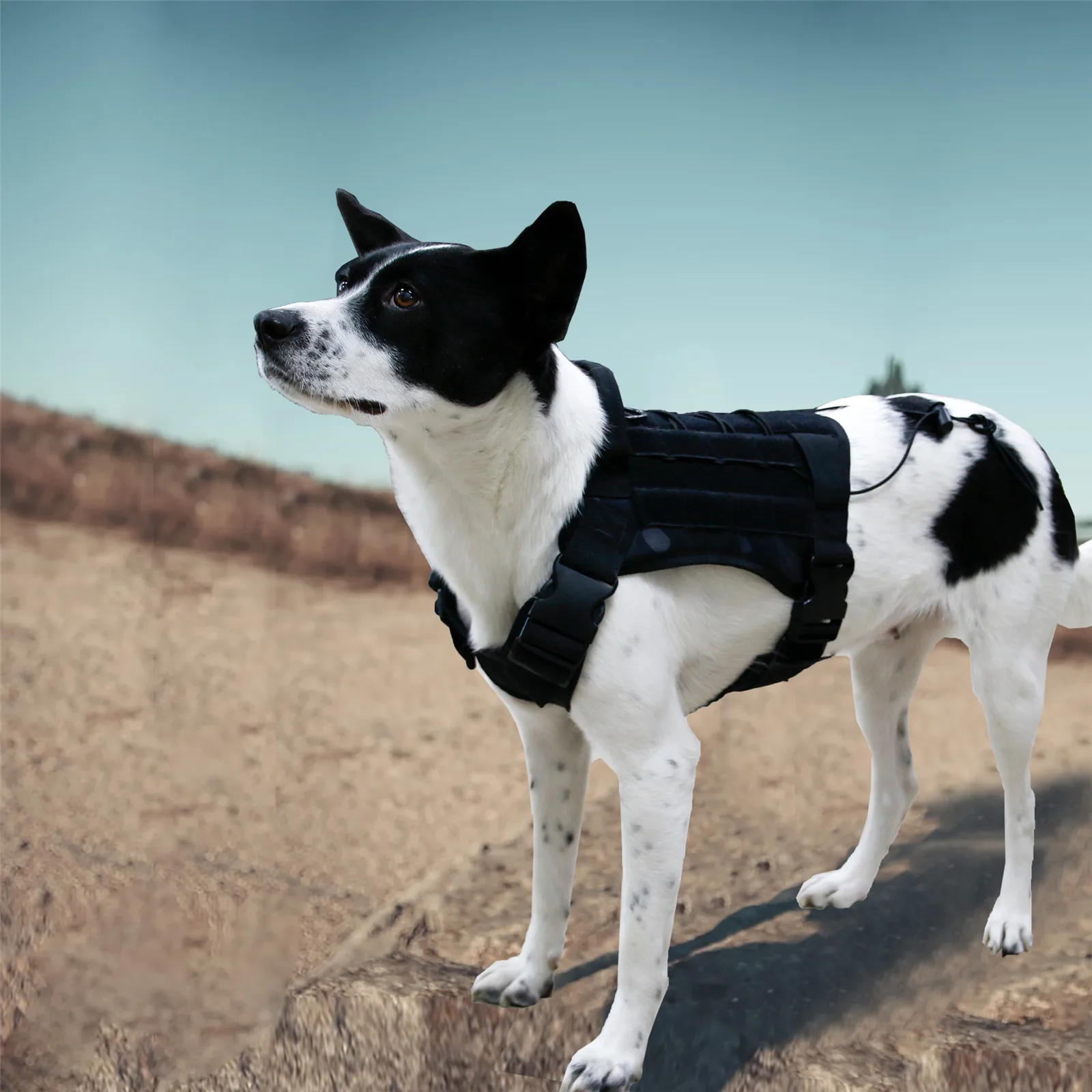 Pet dog tactical vest