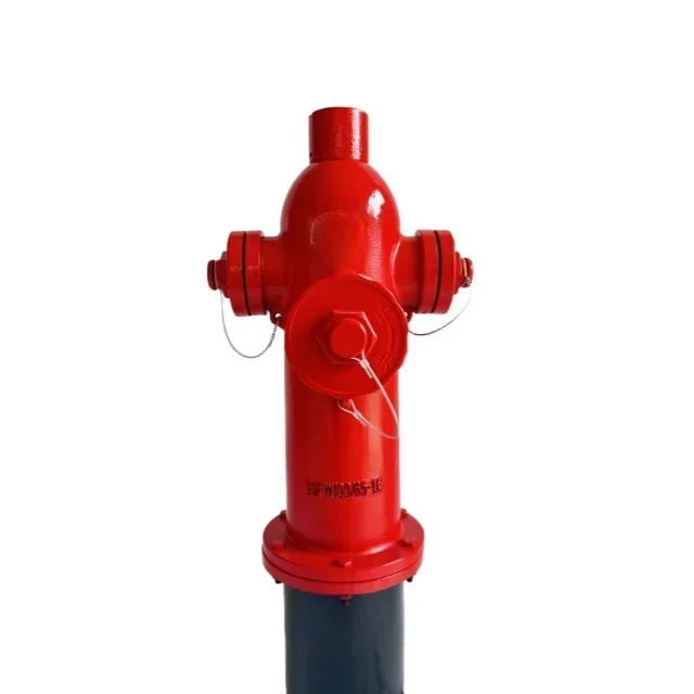 SSFW100-65-1.6 Surface Hydrant for Firefighting Equipment & Accessories