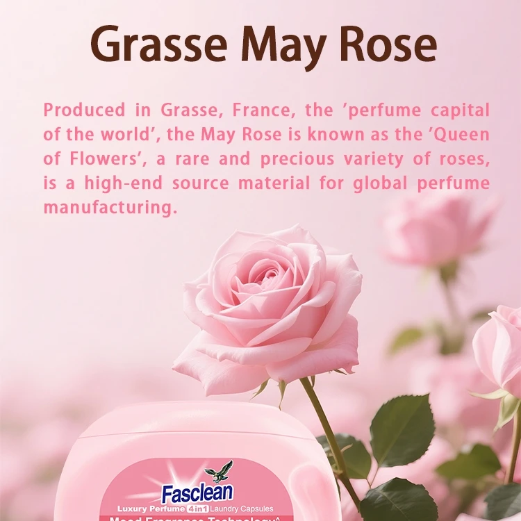 فاسكلين 4 في 1 كبسولات الغسيل الفاخرة |   عطر يدوم طويلاً |   ملابس سريعة التنظيف والناعم 20 قطعة