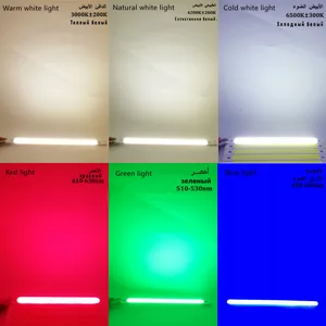 Çip led no. 1'in en iyi 10 satışı