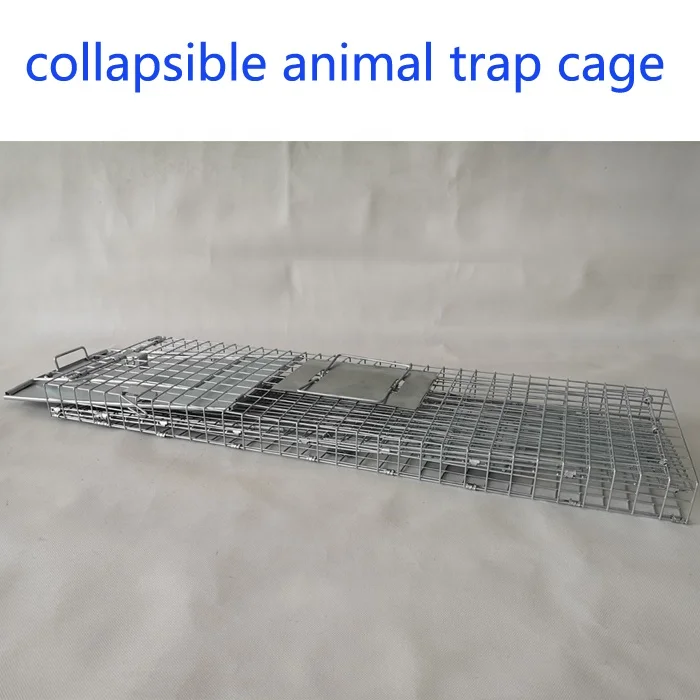 Folding Large Live Animal Trap Cage For Raccoon Rabbit Rats Mouse