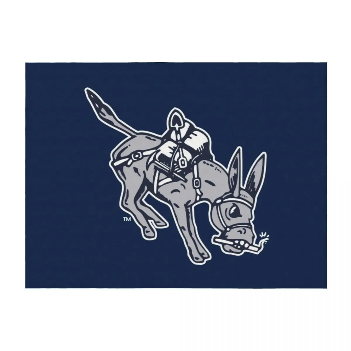 

new Colorado Mines-Orediggers Throw Blanket Large Summer Soft Beds Nap Blankets
