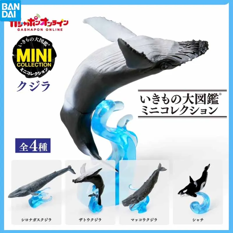 

Original Bandai Opening Japanese Gashapon Creature Mini Blue Whale Ocean Movables Joint Model Capsule Collectibl Children Toys