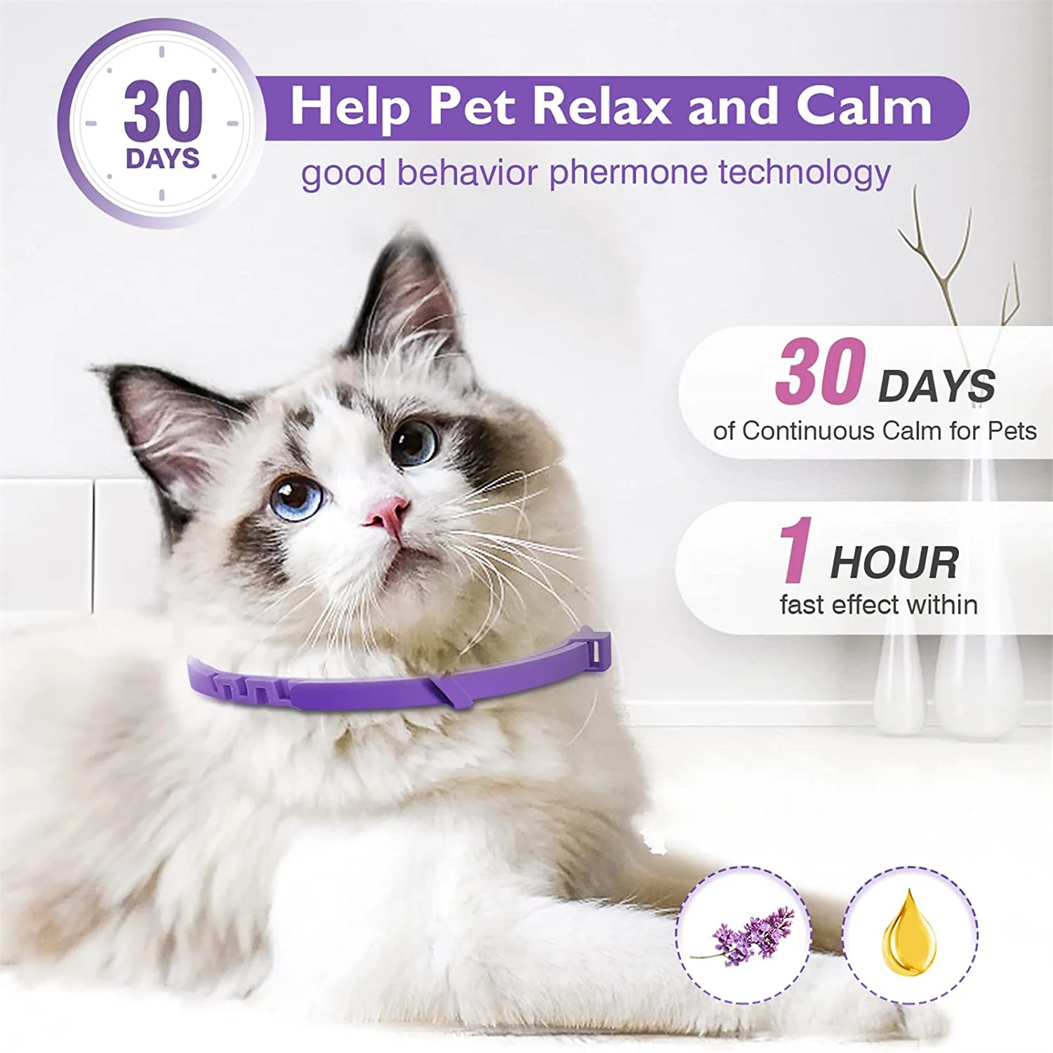 3PCS Calming Collar for Cat and Dog Pheromone Collar Efficient Relieve Reduce Anxiety Stress Calm Relaxing Comfortable Breakaway