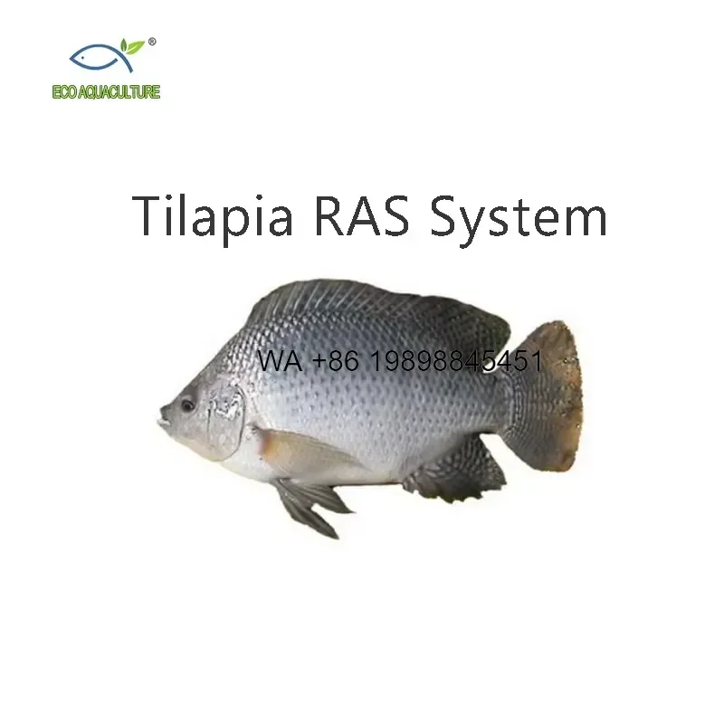 Wmwmnu ECO Farming for Nursery Hatchery Grow Out RAS System