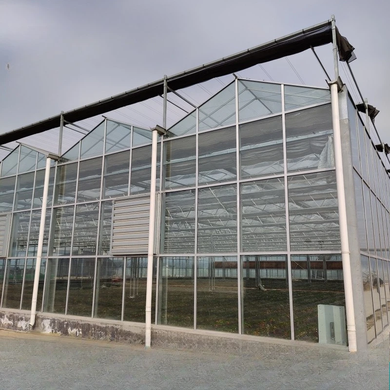 2025 وصول جديد الزجاج الجاهز تصميم البيت الأخضر لوحة طاقة شمسية متعددة المراحل الدفيئة للمشروعات الزراعية