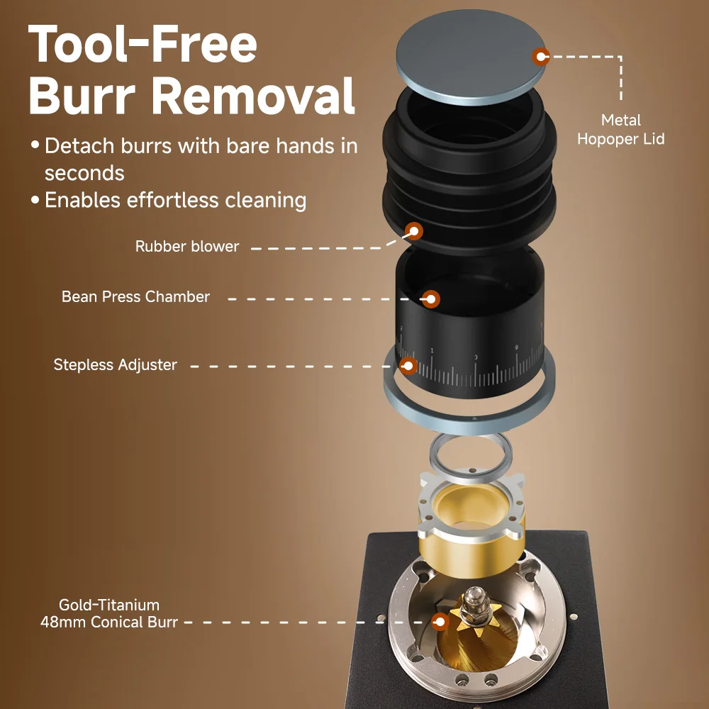 BioloMix Solid all-metal Pro-grade Precision Electric Coffee Grinder, 7-core 48mm Gold Titanium-Plated Burr for Home, Café Use view 4