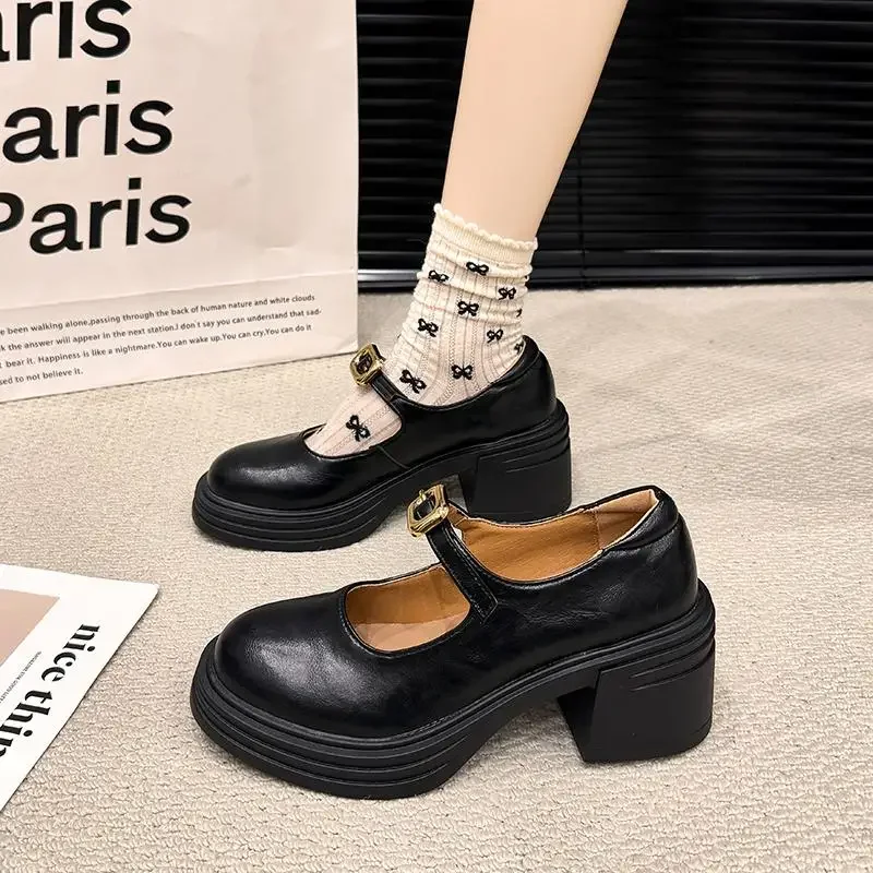 

Black Super High Heels Mary Jane Shoes Women 2025 Goth Chunky Platform Pumps Woman Plus Size Ankle Buckle Party Lolita Shoes 39