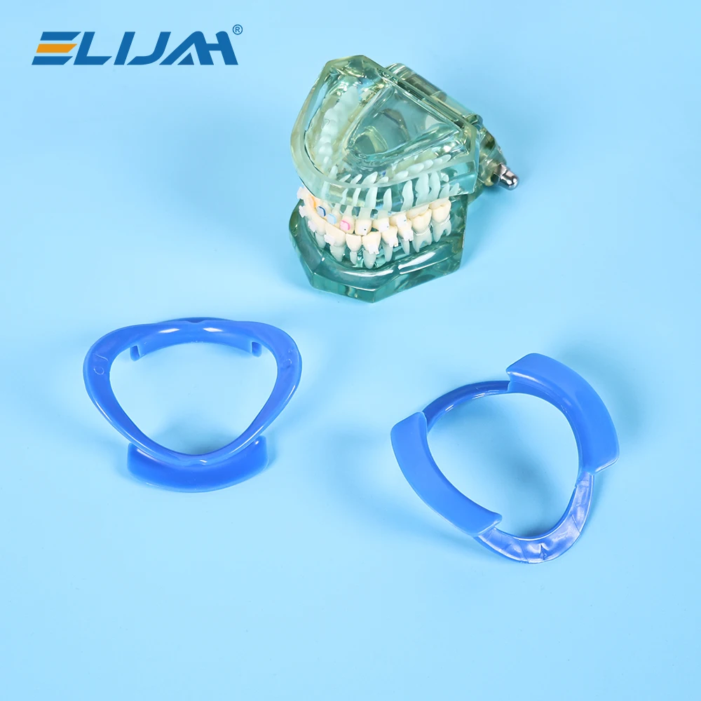 ELIJAH 10Pcs Oral Orthodontic O Type Opener Dental Instrument Lip Retractor Prop Orthodontic Professional Dentistry Tools