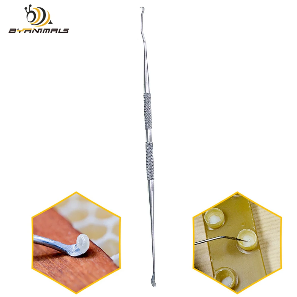 Rearing Double-end Straight Angled Harvest Or Collect Royal Jelly Transferring Or Grafting Larvae Cell Scoop Up Two Paws SS 1PCS