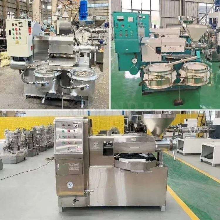 Commercial Soybean Groundnut Peanut Flaxseed Argan Oil Mini Extruder Extraction Process Mill Machine