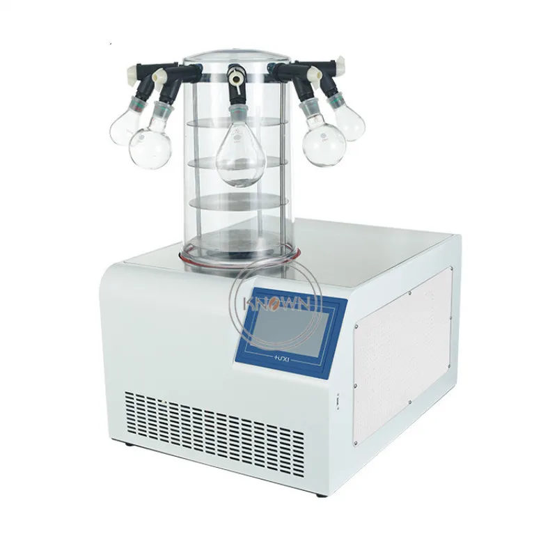 Small Desktop Vacuum Freeze Dryer Machine Multifunctional Dehydrator for Vegetables Fruit Cordyceps Medicinal Laboratory