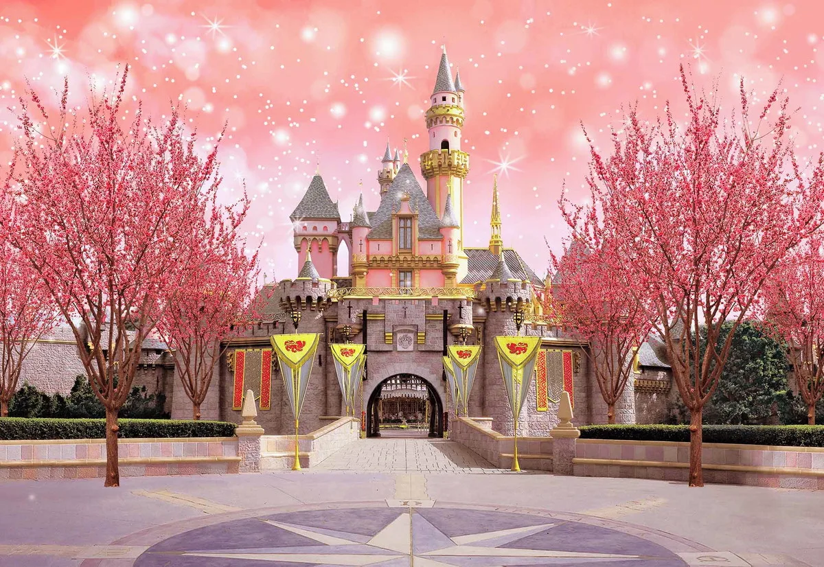 قلعة حلم الأميرة خلفية التصوير الفوتوغرافي ، ديكور الأزهار ، خلفية تحطيم الكعكة ، حفلة عيد الميلاد الأول ، استوديو الصور