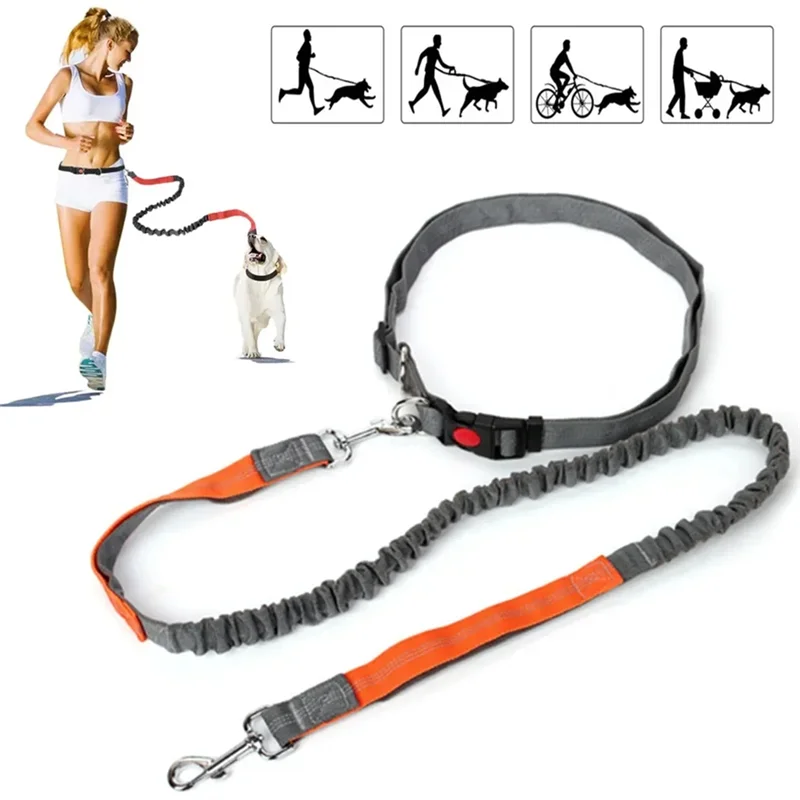 AB47-Pet Elasticity Retractable Dog Leash Adjustable Waist Rope Hand Free Running Jogging Cycling Big Dogs Lead