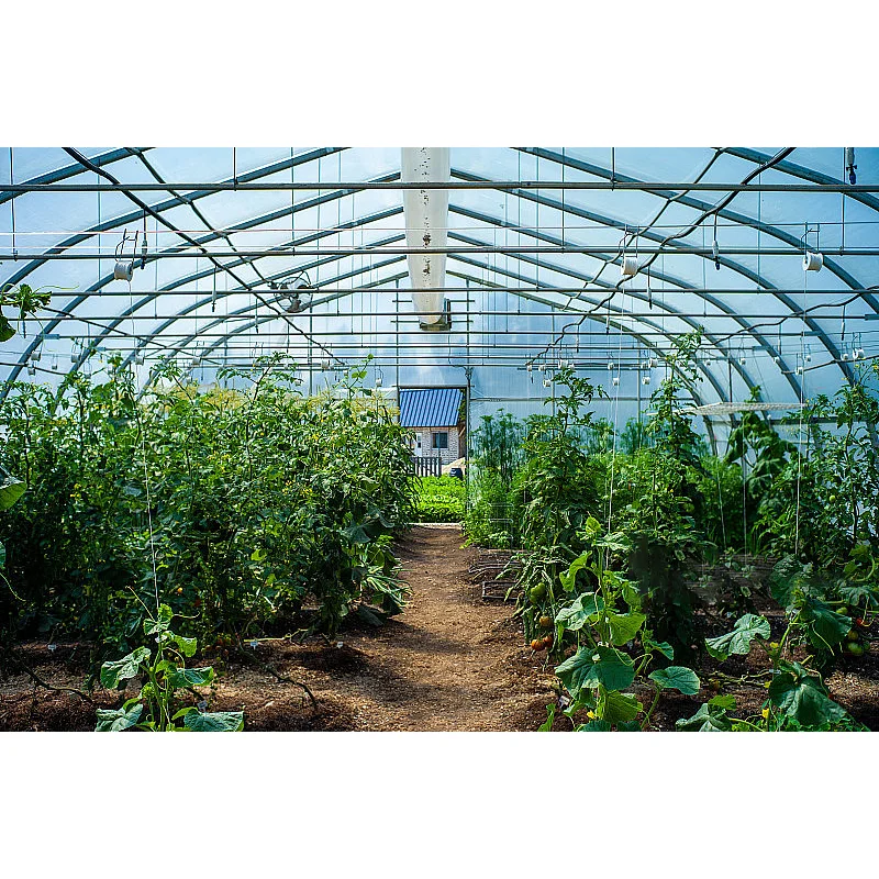 

Customized greenhouseGalvanized Pipe Greenhouse Supply Dual-Panel Polycarbonate Multi Span Greenhouse Kit Agricultural Industria