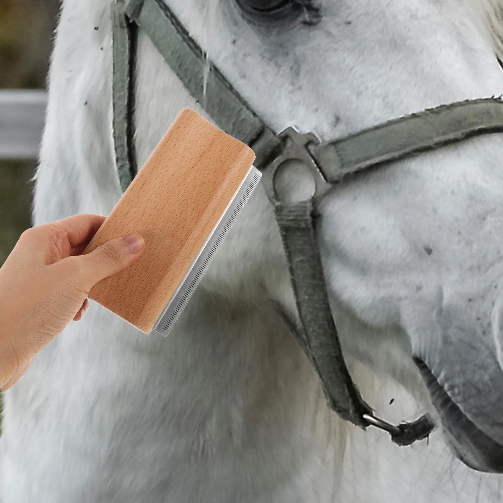 فرشاة مريحة لتزيين الحيوانات الأليفة، أداة مكشطة لتصفيف الحصان للاستحمام وتنظيف وإزالة الشعر والعناية بالبشرة، فرشاة الحصان #3