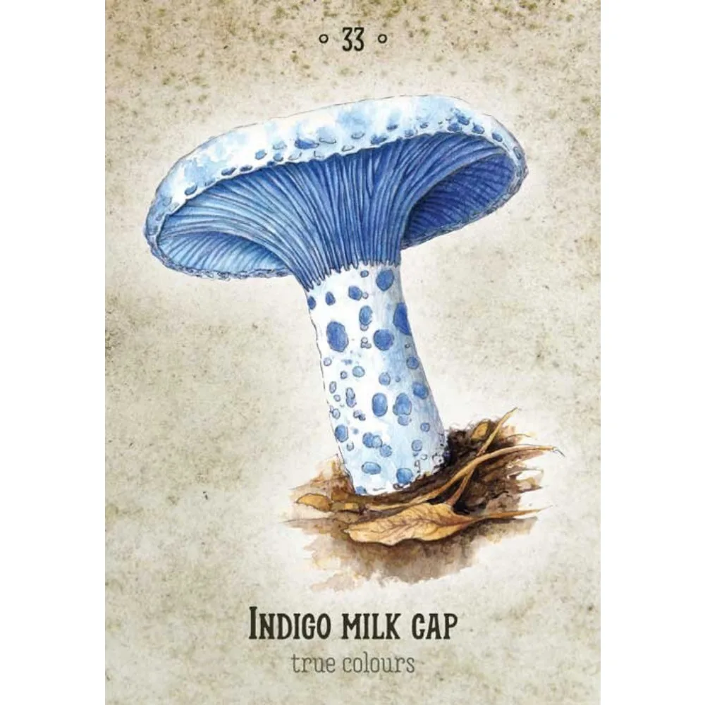 

10.4*7.3cm Mushroom Spirit Oracle Cards 36 Pcs Hand-drawn Images of Mushrooms From All Over The World