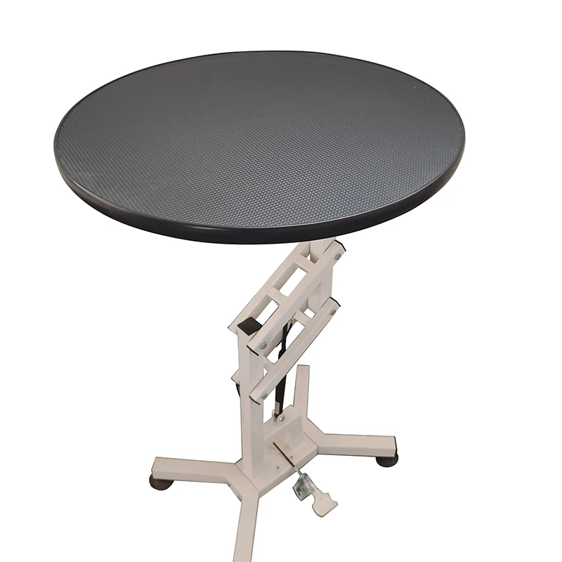 

Stainless steel electric lifting beauty table professional beauty equipment cat and dog beauty table