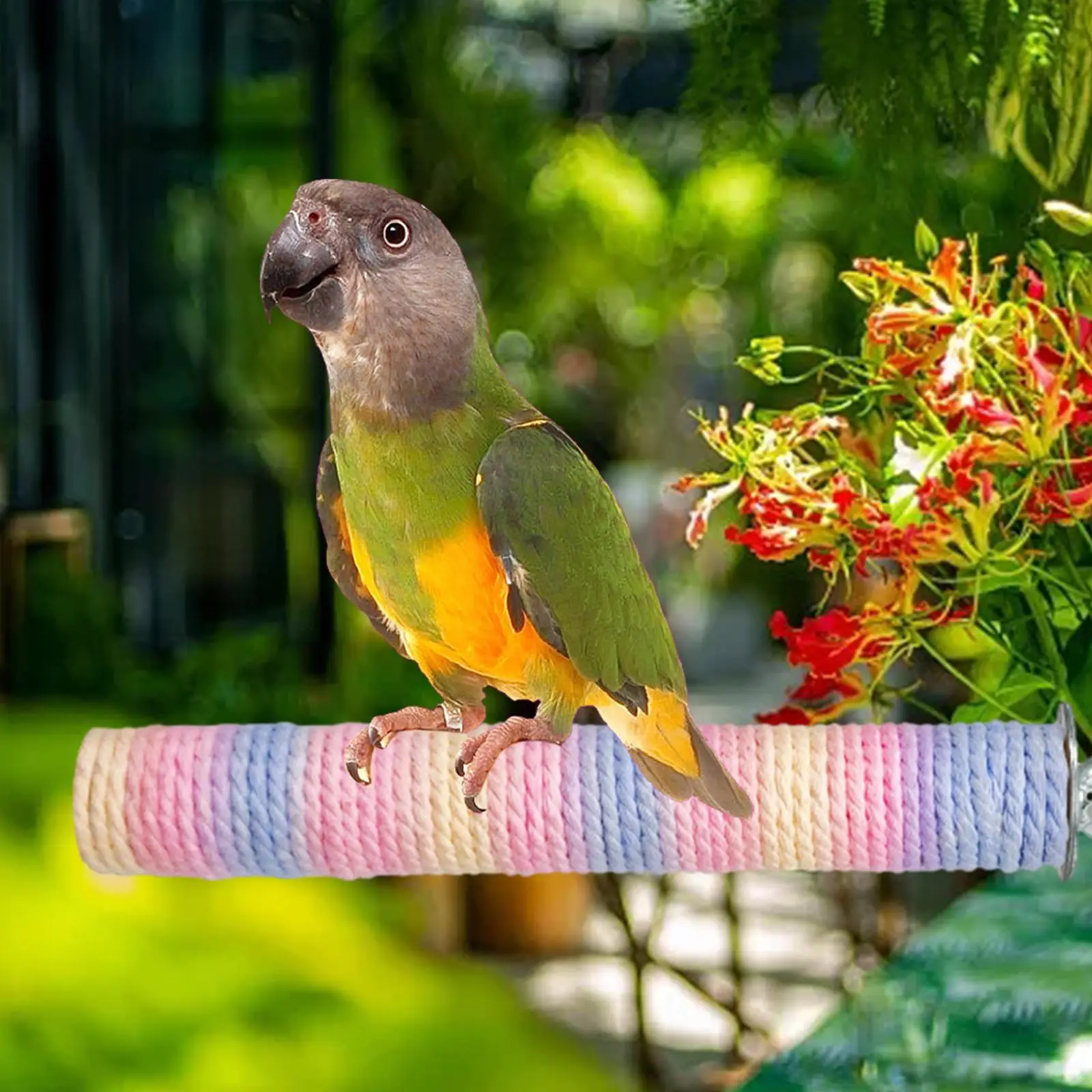 鳥や鳥かごのアクセサリーのための木製のオウムのスタンド