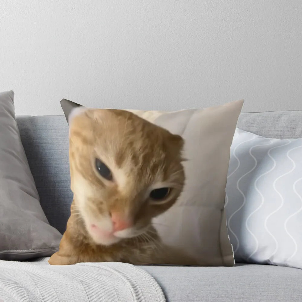 

Angry orange cat meme Throw Pillow Decorative Cushions pillows decor home Sofa Pillow Cover Sofa Cushions Covers pillow