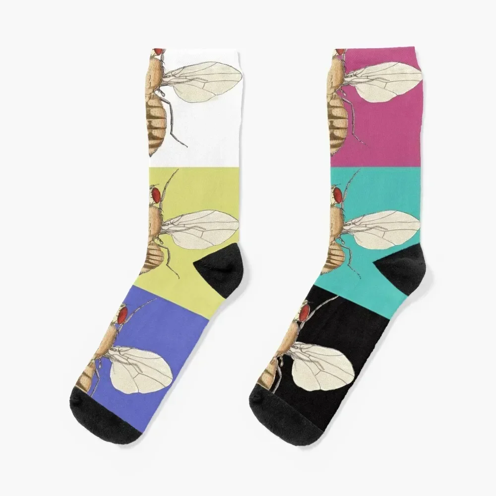 Drosophila melanogaster Socks football hip hop Designer Man Socks Women's