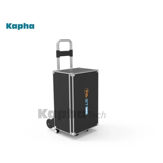 Kapha Pmst Vet Magneto Therapy Plus Infrared Device Physical Rehabilitation Magnetotherapy Equine Medical Specific Equipments