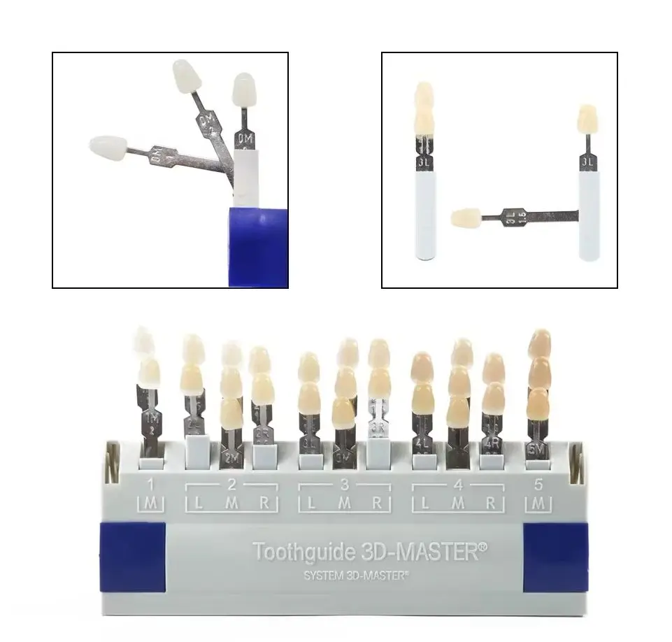 Vita 3D Master Dental Lab Bleach Shade Guide 29 Colors Teeth Whitening Comparing Toothguide Dentistry Clinic Colorimetric Plate