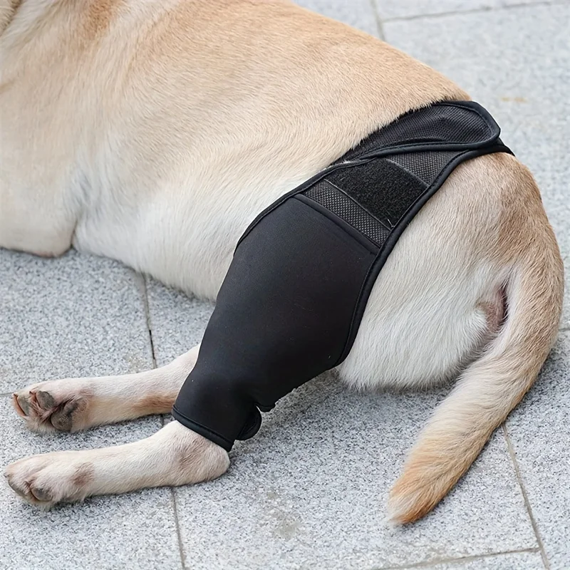 Dog Thigh Protector Brace, Canine Joint Support Knee Pad, Recovery Sleeve for Injury Protection, Post-Surgery Leg Wrap, Adjustab