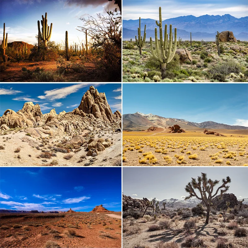 Пейзаж пустыни с кусточками, деревьями, горами, фоны для фотосъемки, кактус, растение, Джошуа, рок-формации, фотофон RD-02