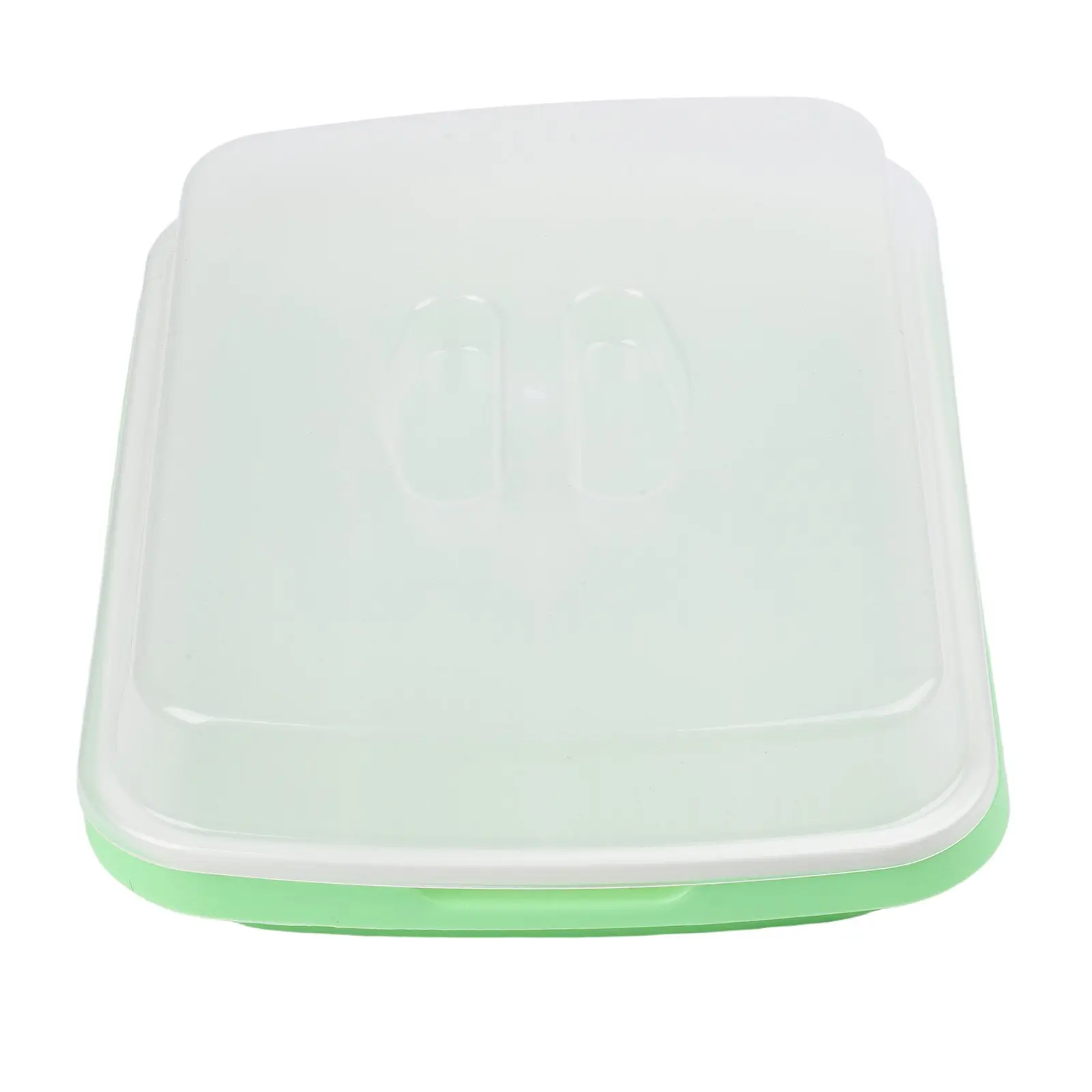 Soil-Free Sprout  Tray Planting Basin Big Capacity Germination Grass Box Grow Flower Plant  Home Garden Nursery Pots