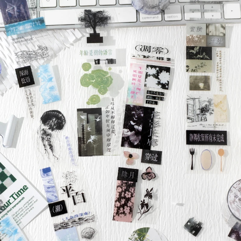 #35 Top 50 Decorative Tape