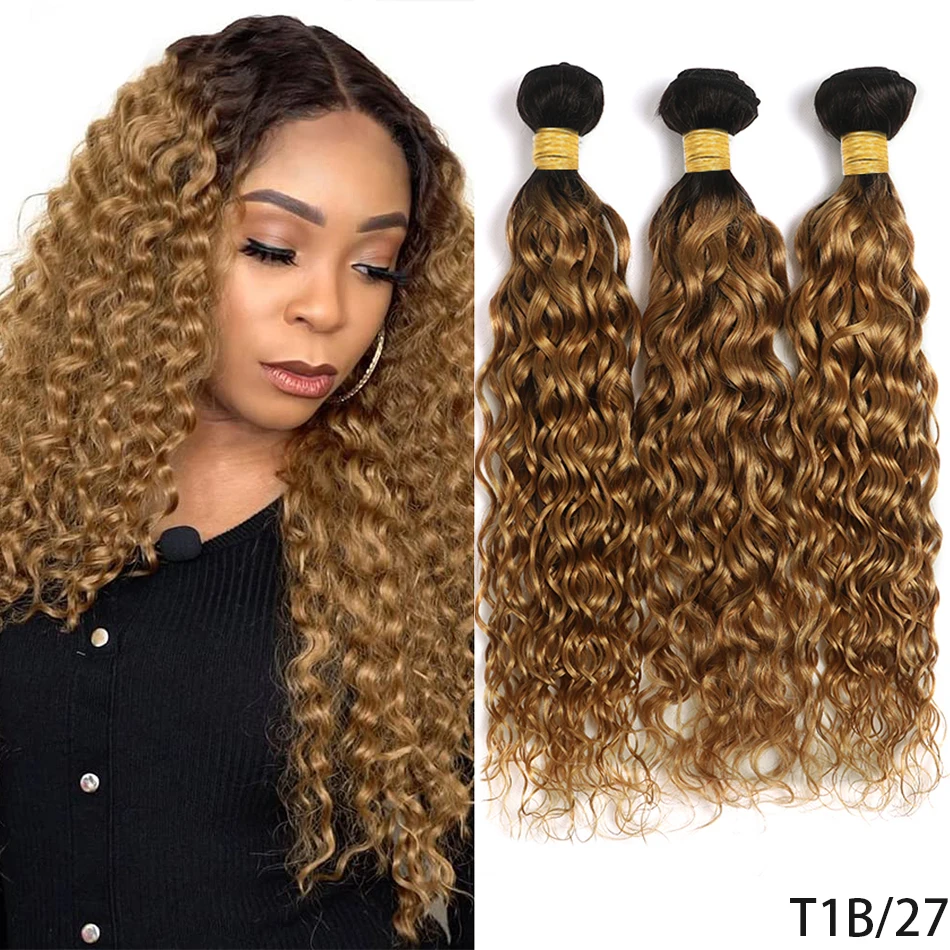 DreamDiana-Extensions de Cheveux Humains Ondulés Colorés, Cheveux Bouclés à l'Eau, Blond Ombré, Remy, T1B27, 100% Malaisien, 3 Bundles