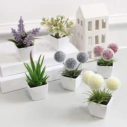 1set  Of Home Decoration, Mini Evergreen Artificial Plant Small Potted Plants