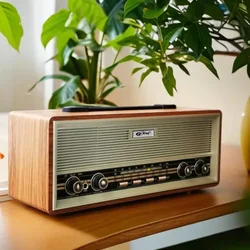 Puxing Vintage Multiband Radio Bluetooth Speaker Outdoor Wireless Card USB Audio Double Horn Stereo Wooden Radios Music Player