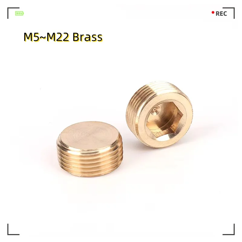 

M5 M6 M8 M10 M12 M14 M16 M18 M20 M22 1/8" 1/4" 3/8" 1/2" 3/4" 1" Bsp Npt Наружная резьба Латунная шестигранная торцевая заглушка Фитинг для труб