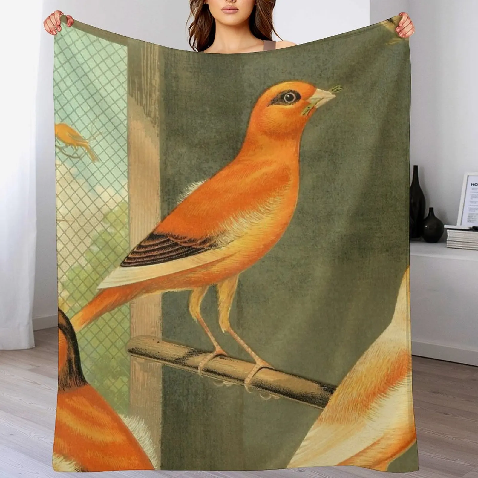 Norwich Canaries Cage Birds Art Prints Old Painting Antique Drawing Throw Blanket Plaid Warm valentine gift ideas Blankets