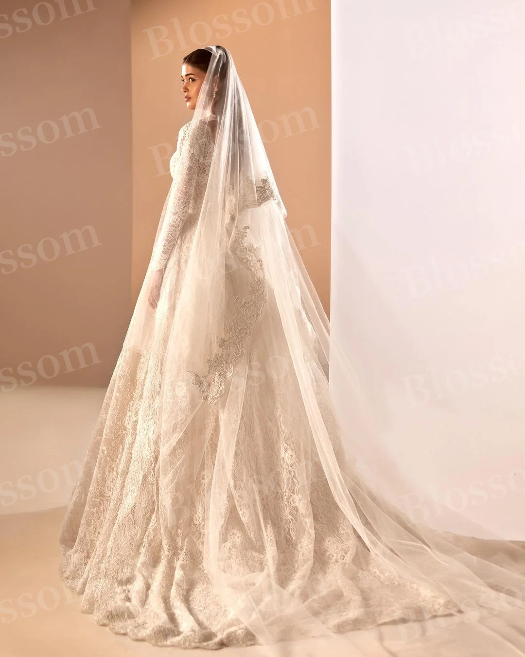 Lace Long Sleeves Noble Wedding Dresses A-line 2024 Floor-length With Veil High-end Custom Bridal Dress Marriage Party Gowns