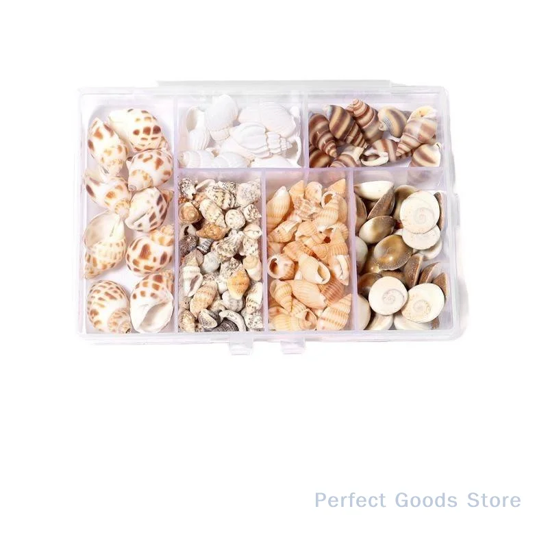 1 Box Sea Shells Spiral Shell Tiny Ocean Spiral Seashells Crafts Aquarium Decor Landscaping Accessories