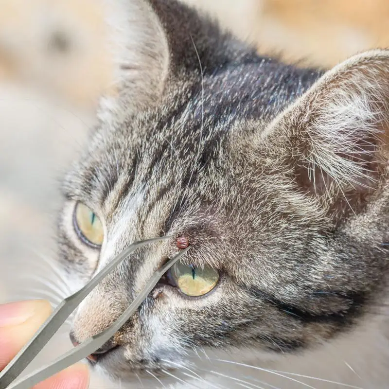 Herramienta profesional 2 en 1 para quitar garrapatas, pinzas para humanos y mascotas, eliminación de pulgas y garrapatas